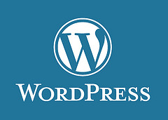 wordpress mistakes
